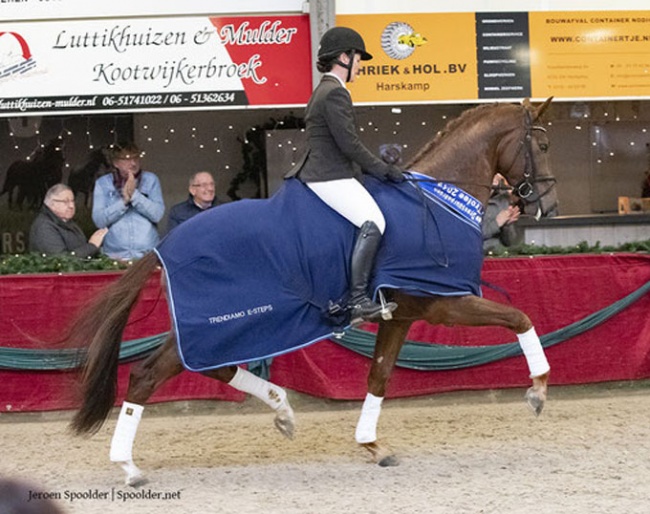 Petra Vlaar and Luciano C win the 2019 VSN Trophy for 3-year olds :: Photo © Jeroen Spoolder