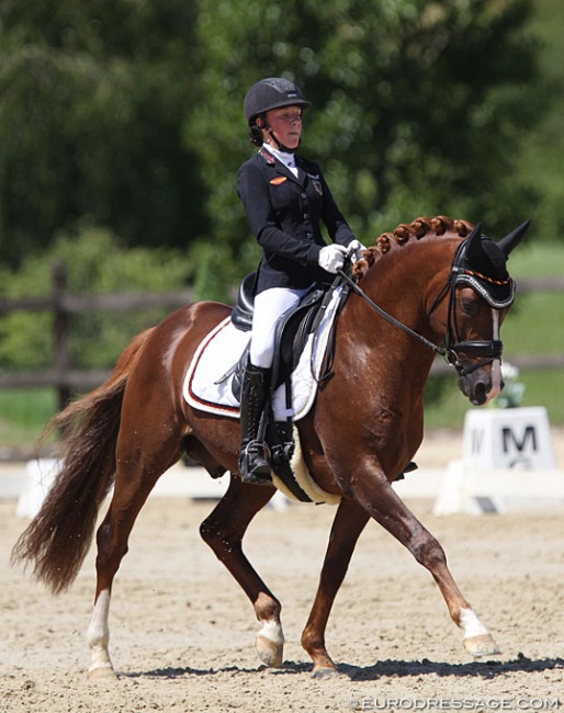 Antonia Busch-Kuffner on Daily Pleasure at the 2019 CDI Leudelange :: Photo © Astrid Appels