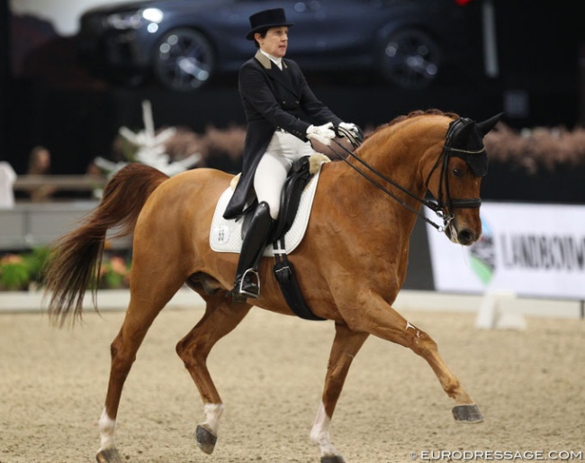 Laurienne Dittmann and Don Weltino K at the 2019 CDI-W Mechelen today :: Photo © Astrid Appels