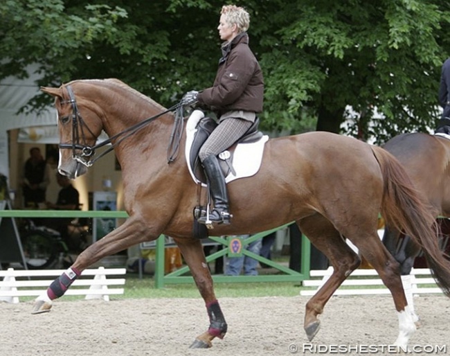 Lone Jorgensen and Donna Asana warming up at the 2008 CDI Wiesbaden :: Photo © Ridehesten