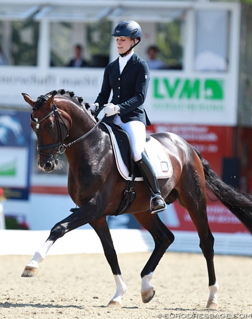 Beatrice Buchwald and Den Haag at the 2014 World Young Horse Championships in Verden :: Photo © Astrid Appels