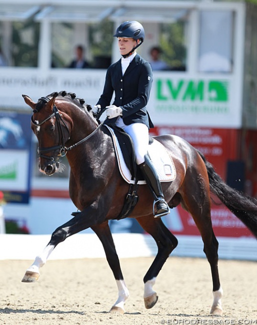 Beatrice Buchwald and Den Haag at the 2014 World Young Horse Championships in Verden :: Photo © Astrid Appels