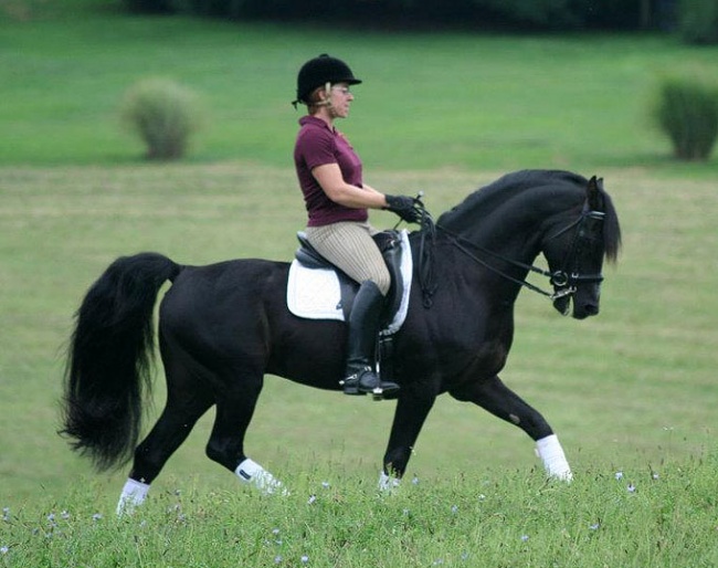 Ange Bean on Statesman's Eclipse