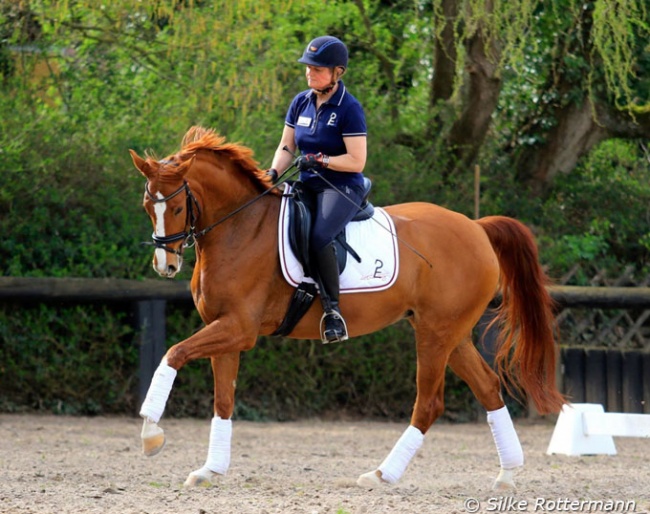 Hanne Brenner schooling Belissima M (by Belissimo x Weltmeyer x Shogun xx) at home :: Photo © Silke Rottermann