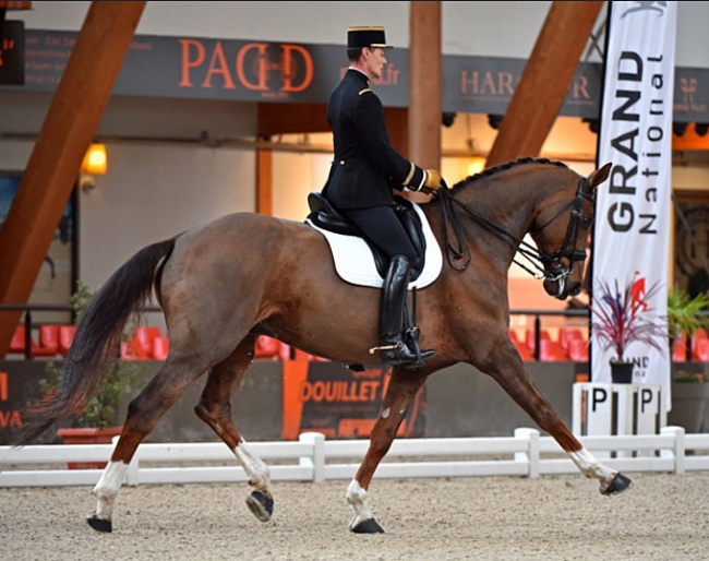 Guillaume Lundy and Tempo ENE at the 2019 CDI Le Mans :: Photo © Les Garennes