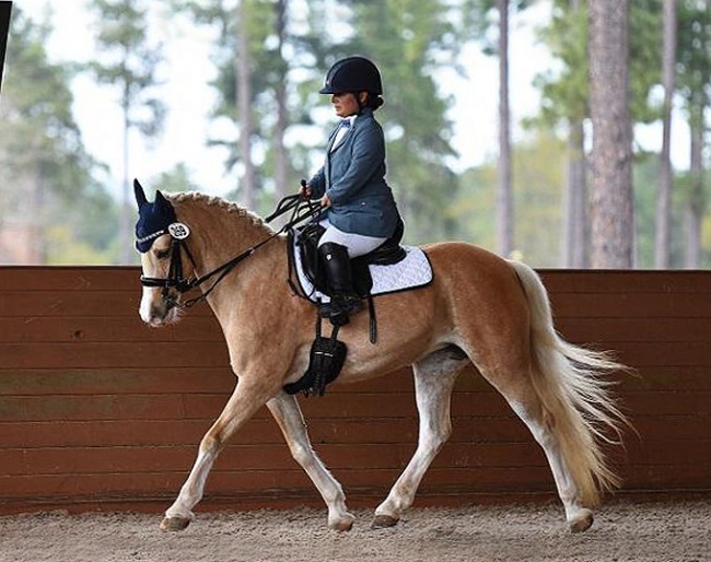 Meghan Benge on Welsh pony Zoey (by The Key x Rhystyd Flyer) :: Photo © Nicole McNally