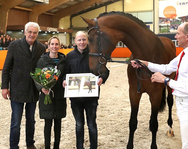 Las Vegas, winner of the 2019 KWPN Autumn Stallion performance testing :: Photo © kwpn.nl/Jacob Melissen