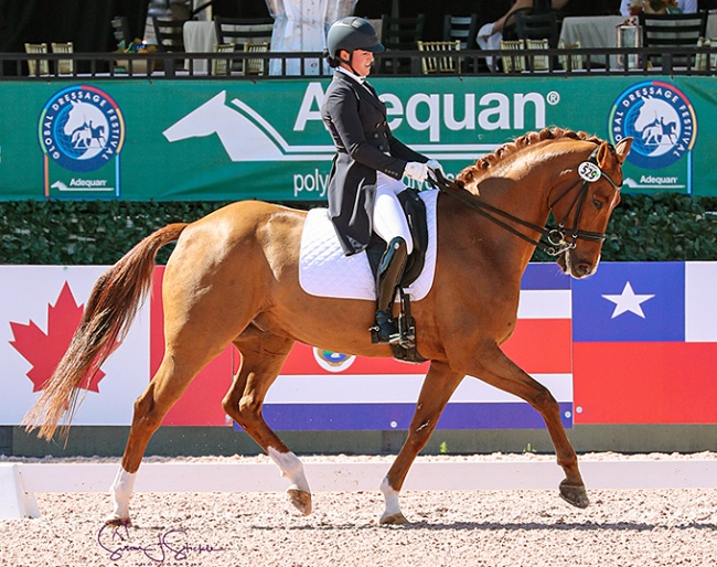Beatrice Boucher and Louxor de Lys at the 2020 CDI-W Wellington :: Photo © Sue Stickle