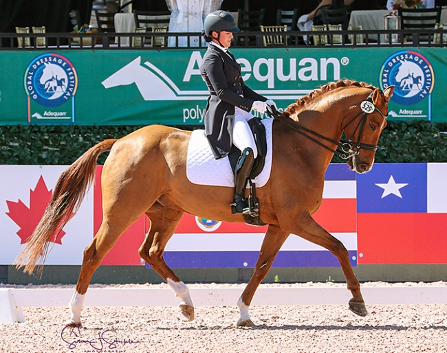 Beatrice Boucher and Louxor de Lys at the 2020 CDI-W Wellington :: Photo © Sue Stickle