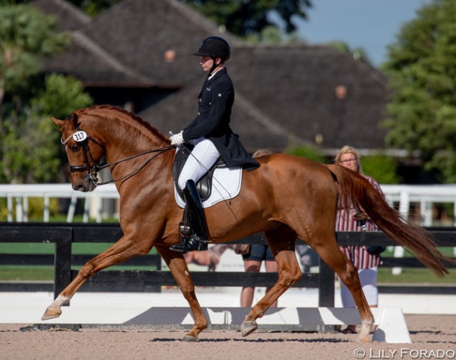 Kevin Kohmann aboard Olga Ozerova-Hartsock's Five Star at the 2020 CDN Wellington :: Photo © Lily Forado