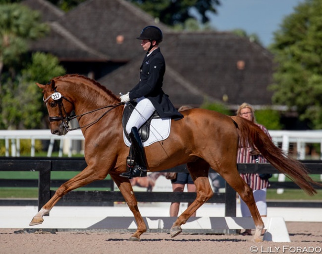 Kevin Kohmann aboard Olga Ozerova-Hartsock's Five Star at the 2020 CDN Wellington :: Photo © Lily Forado