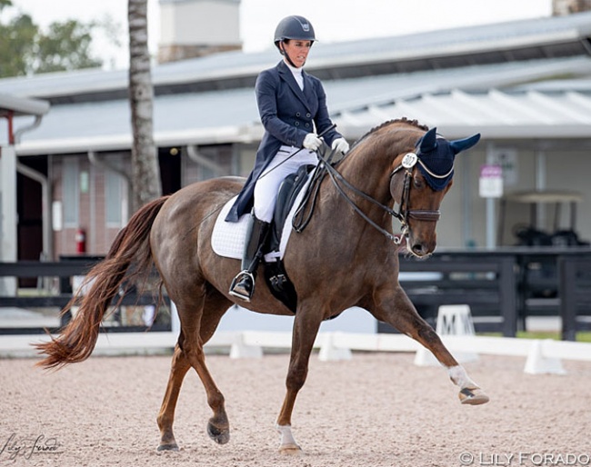 Kasey Perry and Mistico TM at the 2020 CDN Wellington :: Photo © Lily Forado