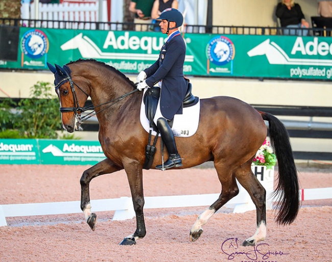 Steffen Peters and Suppenkasper at the 2020 CDI-W Wellington :: Photo © Sue Stickle