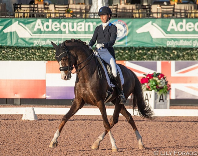 Agnete Kirk Thinggaard on Blue Hors Don Olymbrio at their show debut in Wellington :: Photo © Lily Forado