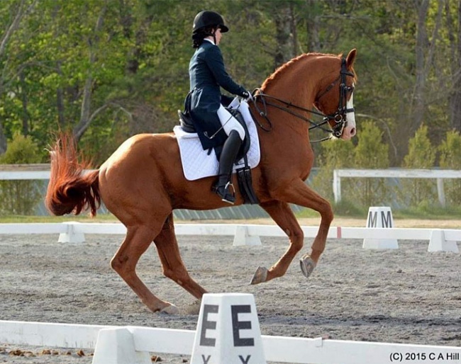 Alexia Mercier-Lafond on White Star