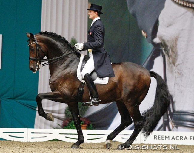 Sune Hansen and Blue Hors Romanov at the 2011 CDI-W Odense :: Photo © Digishots