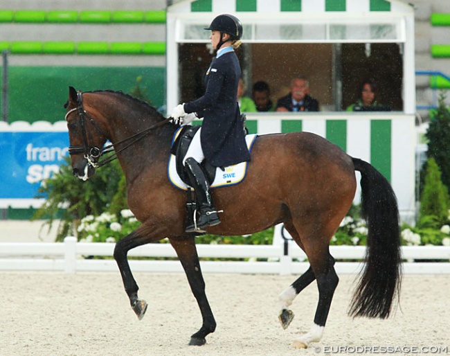 Jeanna Hogberg and Darcia VH at the 2014 World Equestrian Games in Caen :: Photo © Astrid Appels