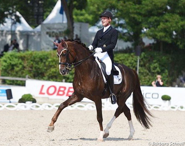 Niklaas Feilzer and Quotenkönig competing at the 2018 CDN Balve :: Photo © Barbara Schnell