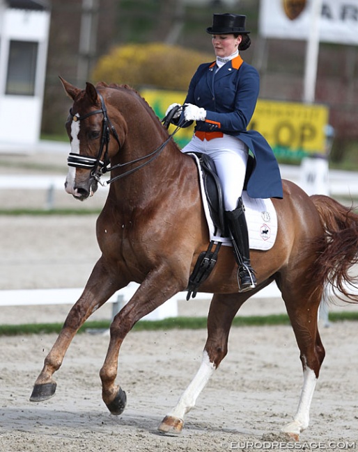 Thamar Zweistra and Hexagon's Conquest at the 2018 CDI Nieuw en St. Joosland :: Photo © Astrid Appels