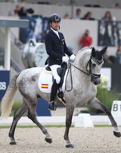 Alberto García-Briñón Martin on Molinero FS at the 2019 World Young Horse Championships :: Photo © Astrid Appels