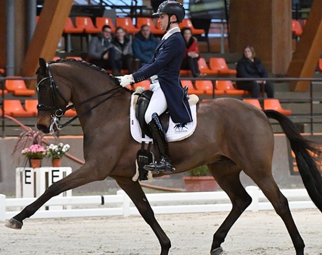 Sonnar Murray-Brown on Erlentanz at the 2020 CDI Le Mans :: Photo © Les Garennes