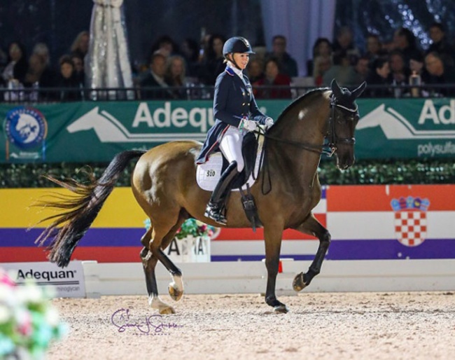 Katherine Bateson Chandler and Alcazar at the 2020 CDI Wellington :: Photo © Sue Stickle