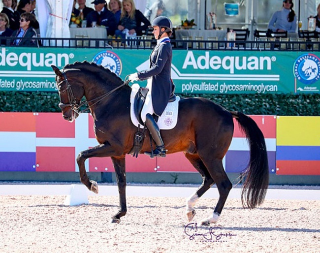 Adrienne Lyle and Salvino at the 2020 CDI Palm Beach Derby :: Photo © Sue Stickle