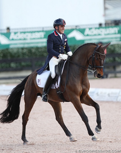 Cesar Parra and Mr Bumblebee at the 2020 CDI Wellington :: Photo © Astrid Appels