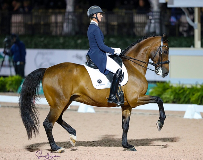 Jessica Jo Tate and Faberge at the 2020 CDI Palm Beach Derby :: Photo © Sue Stickle
