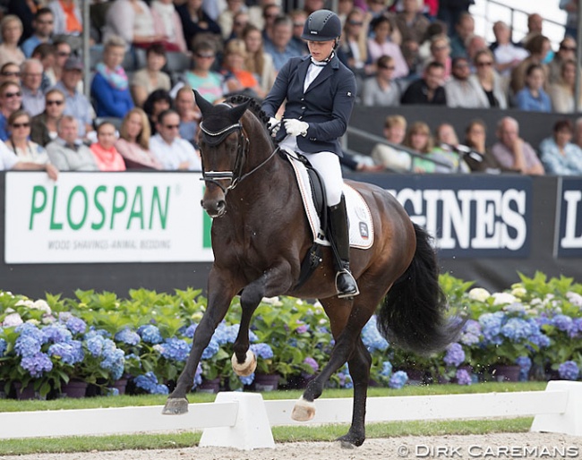 Ann Christin Wienkamp and Sir Olli at the 2016 World Young Horse Championships :: Photo © Dirk Caremans