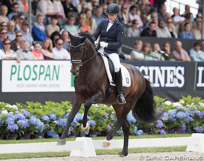 Ann Christin Wienkamp and Sir Olli at the 2016 World Young Horse Championships :: Photo © Dirk Caremans