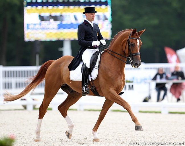 Belgian Jeroen Devroe and Hyrona competing at the CDIO Compiègne :: Photo © Astrid Appels