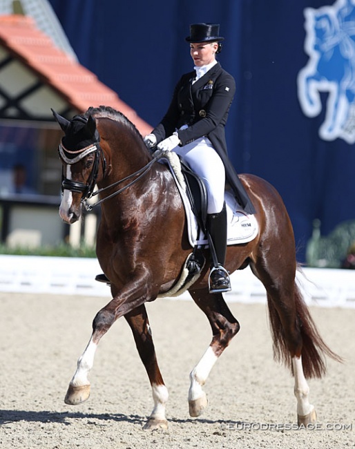 Bernadette Brune and Gunner KS in the Nurnberger burgpokal qualifier at the 2019 CDI Hagen :: Photo © Astrid Appels