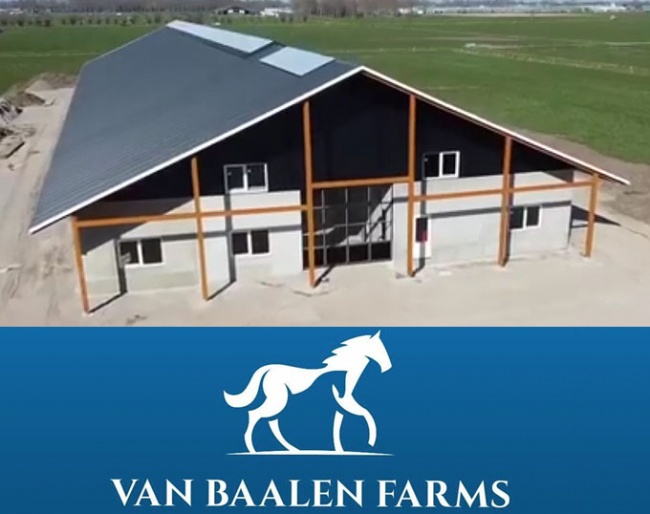 Van Baalen Farms, premium young horse care