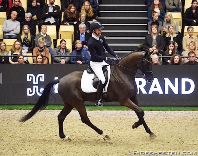 Daniel Bachmann Andersen test riding Grand Galiano for the 2020 Danish Warmblood 5-YO Championship :: Photo © Ridehesten