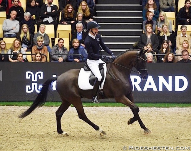 Daniel Bachmann Andersen test riding Grand Galiano for the 2020 Danish Warmblood 5-YO Championship :: Photo © Ridehesten