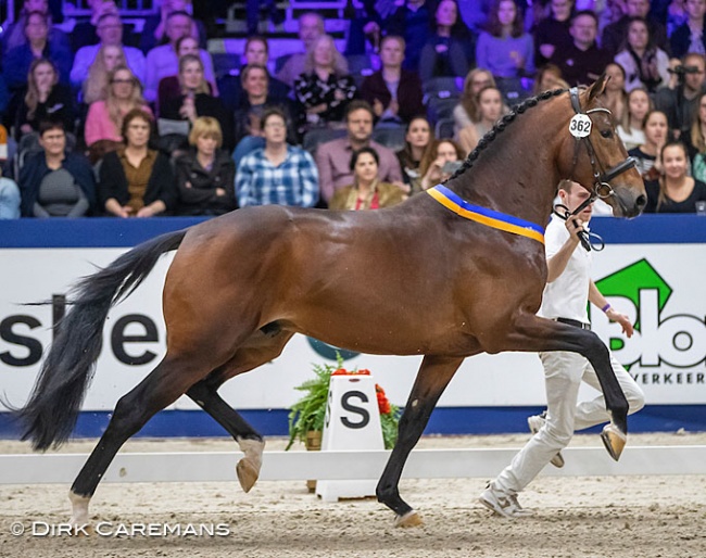 Monte Carlo (by Dream Boy x United x Jazz) :: Photo © Dirk Caremans
