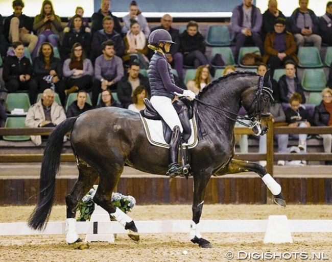 Alexa Fairchild and Dabanos d'O4 in a clinic with Tineke Bartels at the 2020 CDI Lier :: Photo © Leanjo de Koster