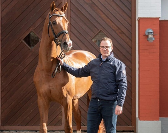 Blue Hors stud's breeding director Martin Klavsen with Vivaldi :: Photo © Blue Hors