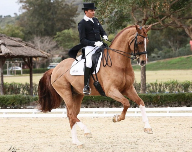 Joe Antonio Garcia Mena and Sorento at their show debut in Spain :: Photo © Alberto Martinez Bracero