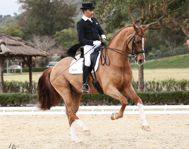 Joe Antonio Garcia Mena and Sorento at their show debut in Spain :: Photo © Alberto Martinez Bracero