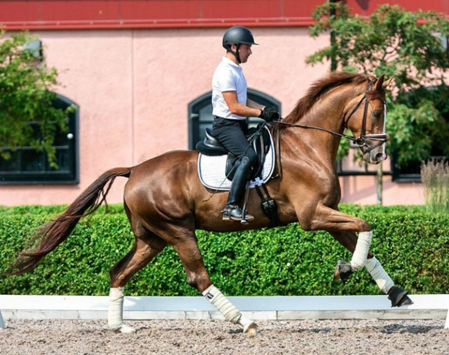 Johan Svensson and Kai van Wittenstein P :: Photo © Hannell