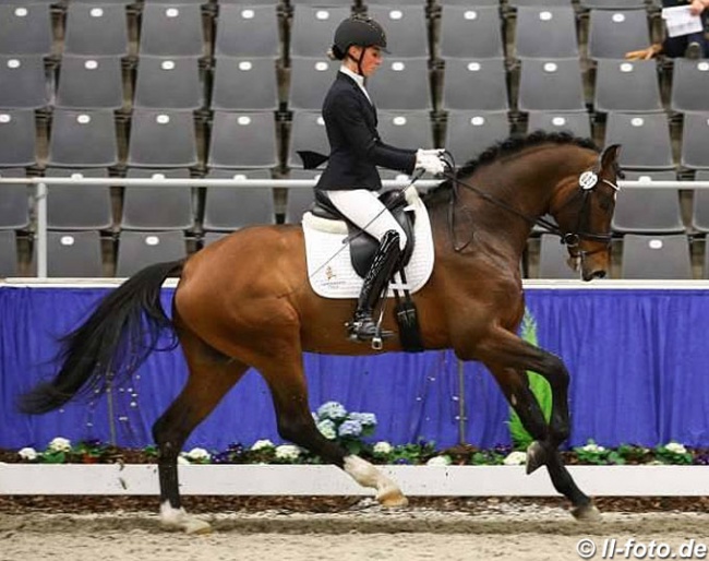 Lena Heemsoth on Fusionist at the 2020 Verden Stallion Sport Test :: Photo © LL-foto