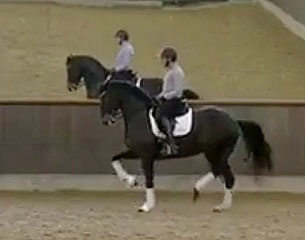 Severo Jurado Lopez on Savona on the Helgstrand sales video