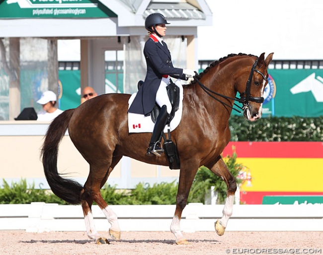 Brittany Fraser-Beaulieu and All In at the 2020 CDI 5* Wellington :: Photo © Astrid Appels