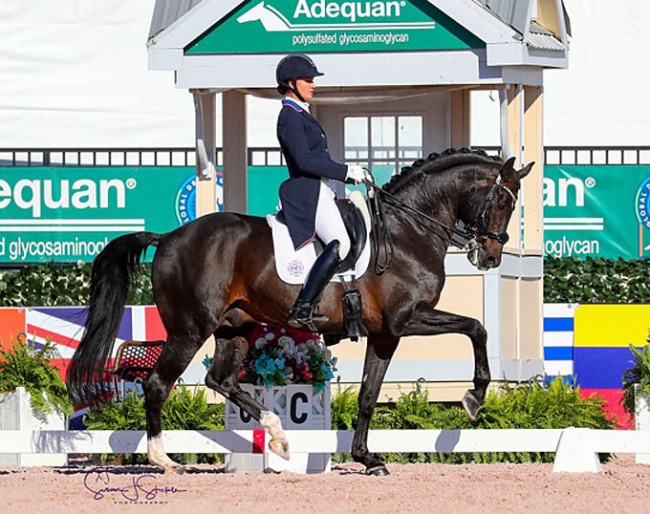Adrienne Lyle and Salvino at the 2020 CDI Palm Beach Derby in Wellington :: Photo © Sue Stickle
