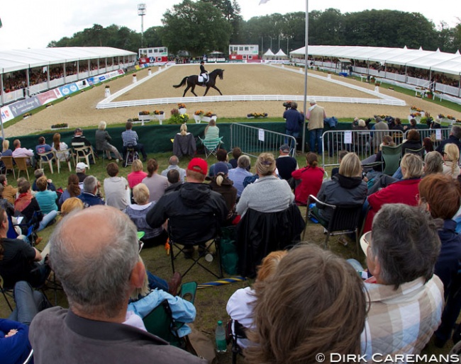 The World Young Horse Championships in Verden :: Photo © Dirk Caremans
