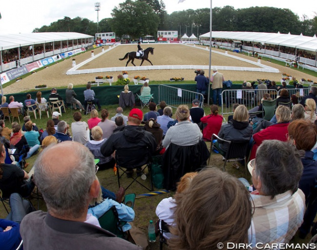 The World Young Horse Championships in Verden :: Photo © Dirk Caremans