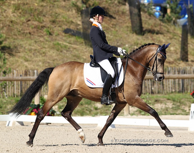 Sanne Vos and Champ of Class win individual test gold at the 2012 European Pony Championships :: Photo © Astrid Appels
