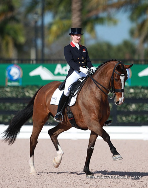 Laura Tomlinson and Unique at the 2015 CDI Wellington :: Photo © Astrid Appels